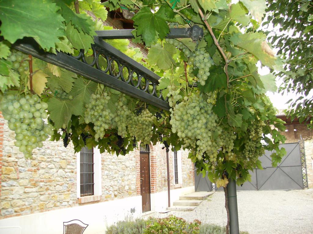 Agriturismo Casa Garello サリーチェ・テルメ エクステリア 写真