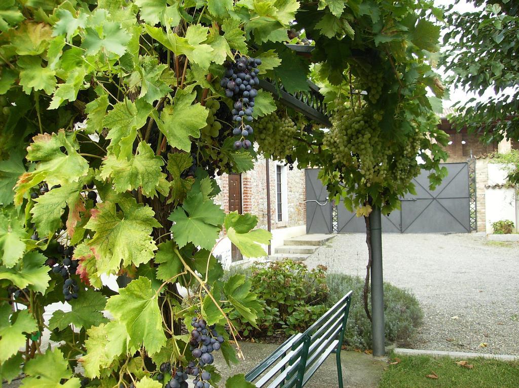 Agriturismo Casa Garello サリーチェ・テルメ エクステリア 写真